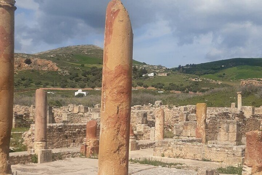 1 Day Excursion Nature and Archeology Bulla Regia and Beni Mtir from Tunis