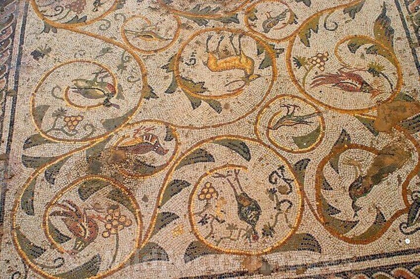 1 Day Excursion Nature and Archeology Bulla Regia and Beni Mtir from Tunis