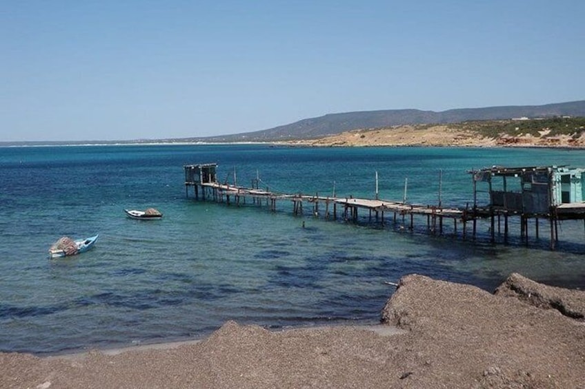 Day Trip off the beaten track to Cap Bon from Tunis or Hammamet