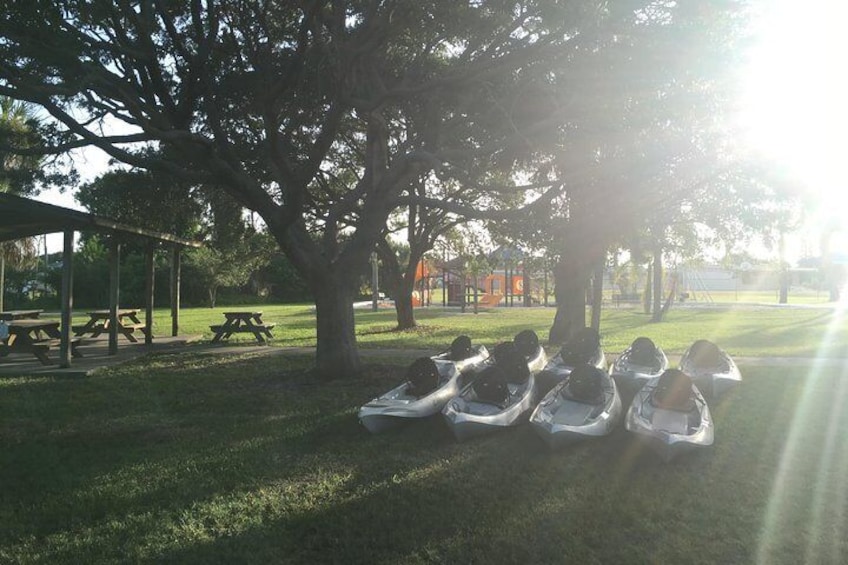 Kayaks setup at the park ready for guests to arrive