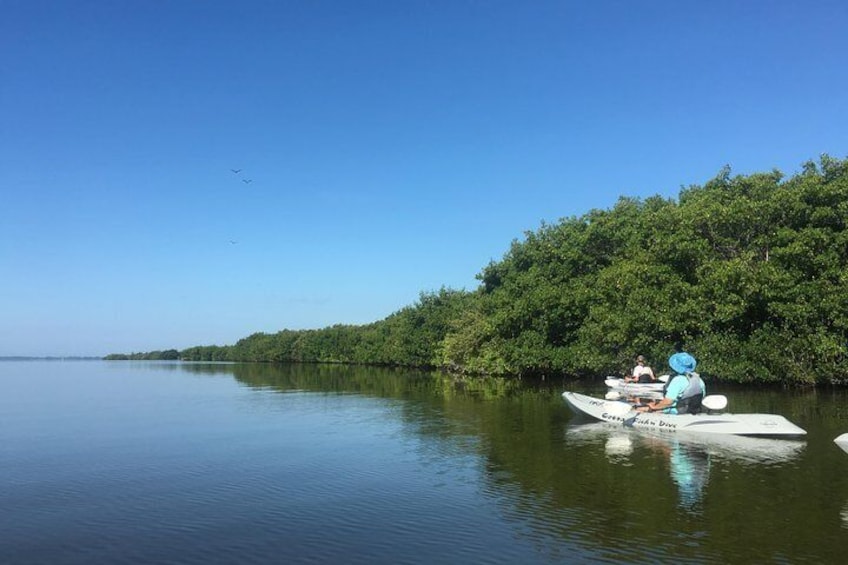 Smooth sailing in the lagoon