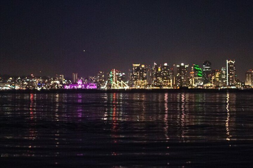 Unique night date idea in San Diego Bay for couples with dogs and families with kids