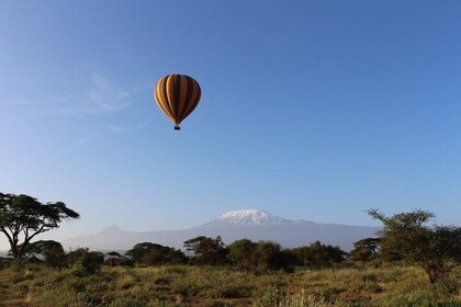 Amboseli National Park Hot Air Balloon(Kilimanjaro View)