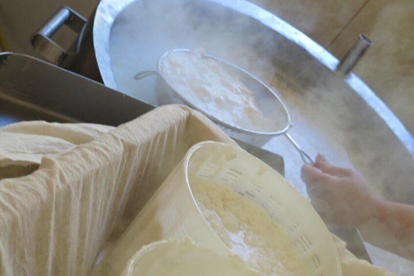 Make 2 cheeses from start to finish! Anari & Halloumi Cheese