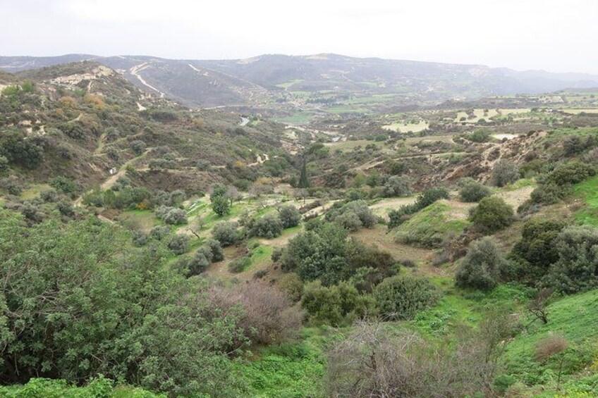 Drive through rural villages and explore the Troodos mountains