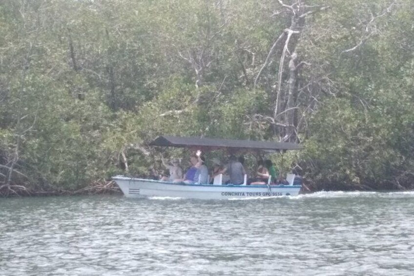 Tamarindo Boat ride safari tour