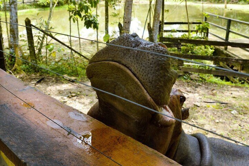 Tour to the Hacienda Nápoles Theme Park