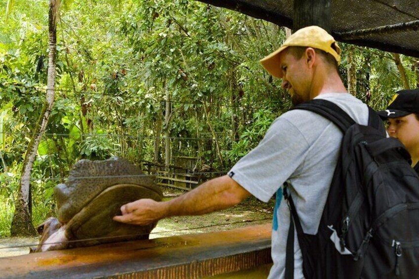 Tour to the Hacienda Nápoles Theme Park