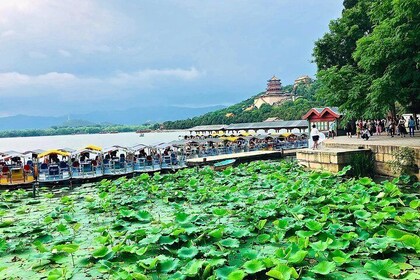 4-Hour Private Beijing Summer Palace Tour with Dim Sum