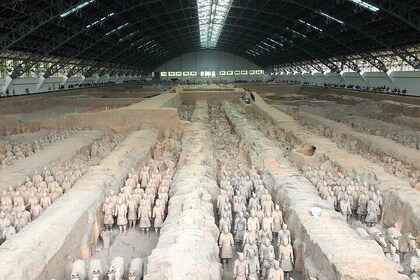 Terracotta Army Tour with Dinner