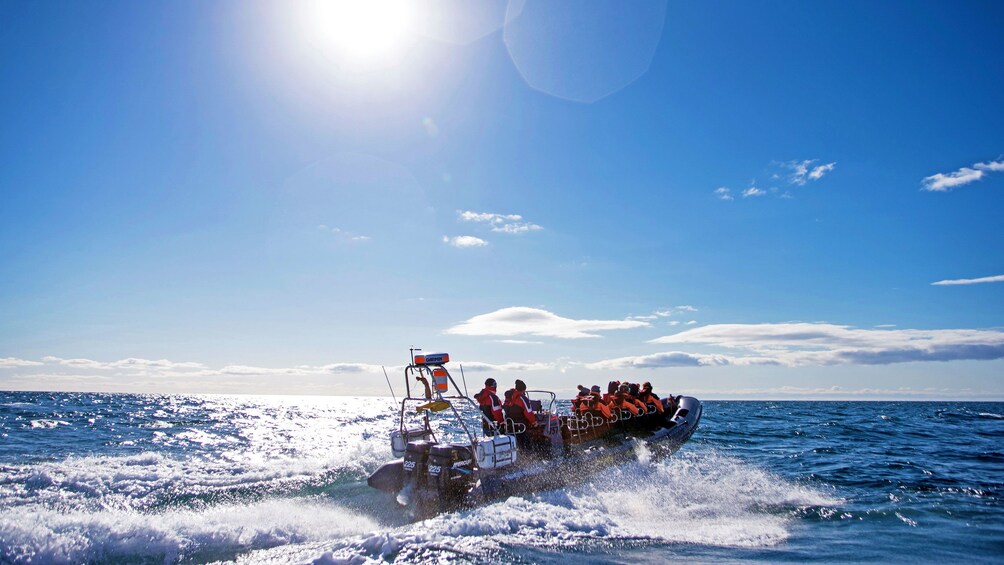 Whale watching raft out at sea in Reykjavik