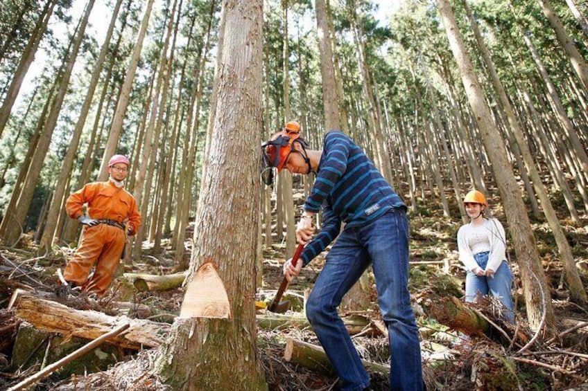 cutting the tree by himself