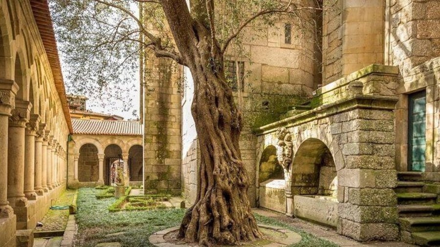 Colegiada, claustro