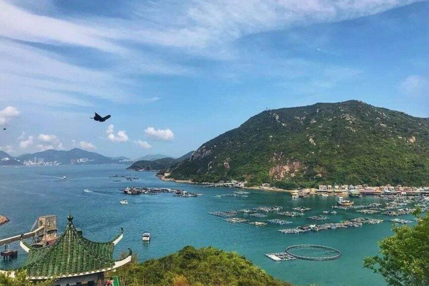 Nice Lamma Island