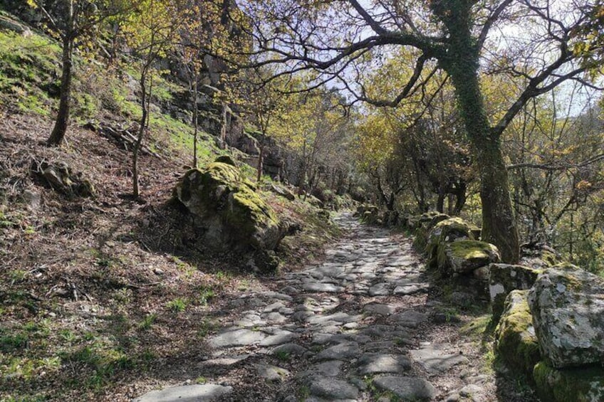Waterfalls, Heritage and Nature in Gerês Park - from Porto