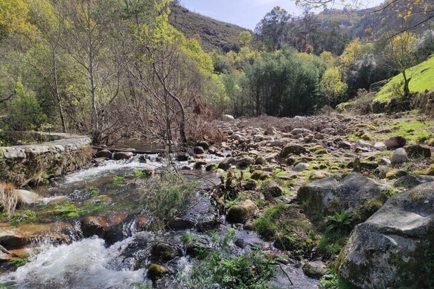 Waterfalls, Heritage and Nature in Gerês Park - from Porto