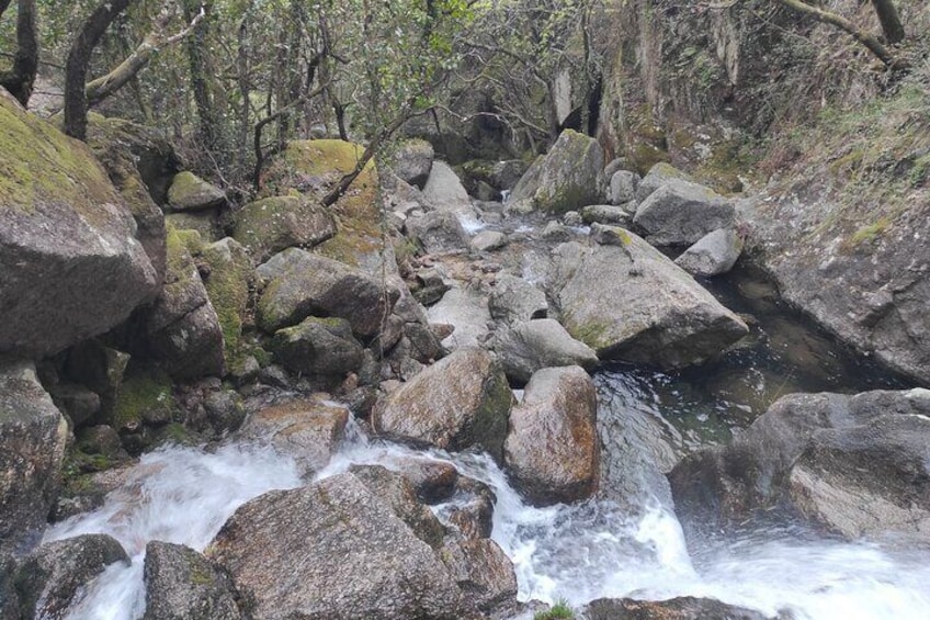 Waterfalls, Heritage and Nature in Gerês Park - from Porto