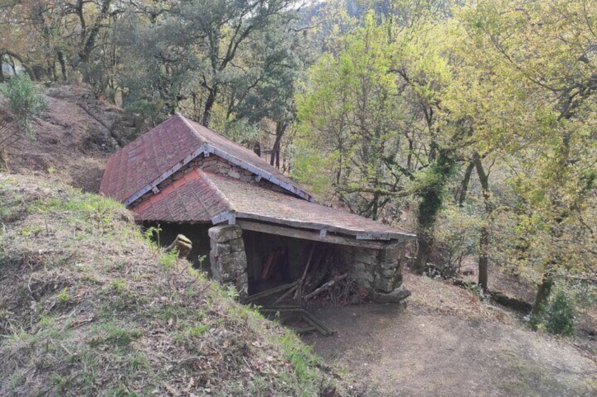 Waterfalls, Heritage and Nature in Gerês Park - from Porto