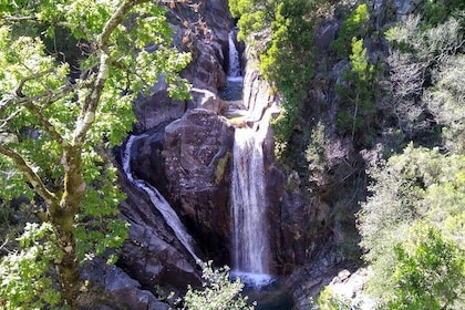 Waterfalls, Heritage and Nature in Gerês Park - from Porto