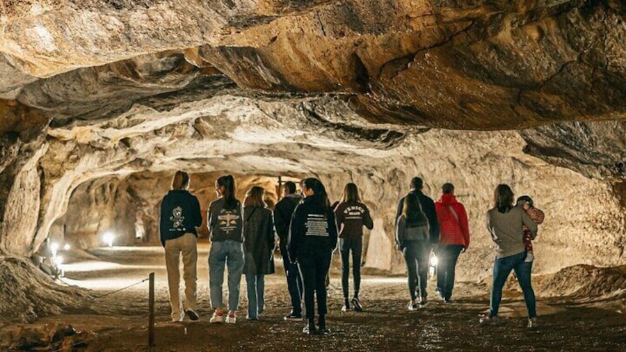 Caves prehistory of Esplugues with hotel pickup