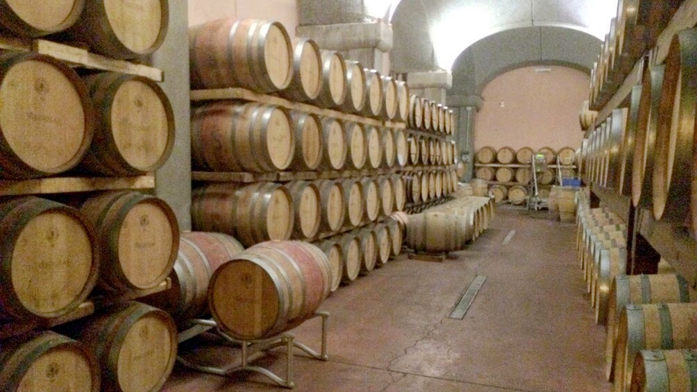 Wine cellar in Cagliari 