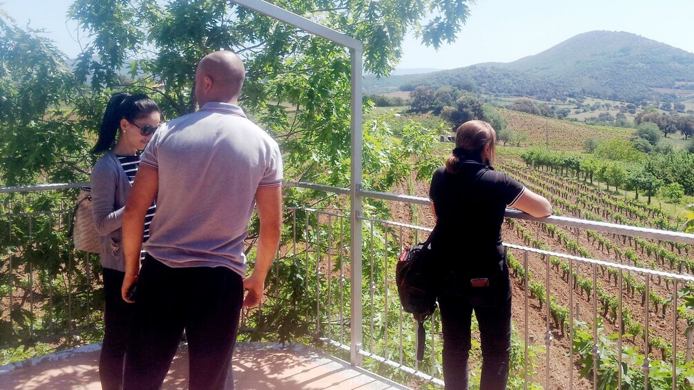 Tourists taking in the view of the vineyards in Cagliari 