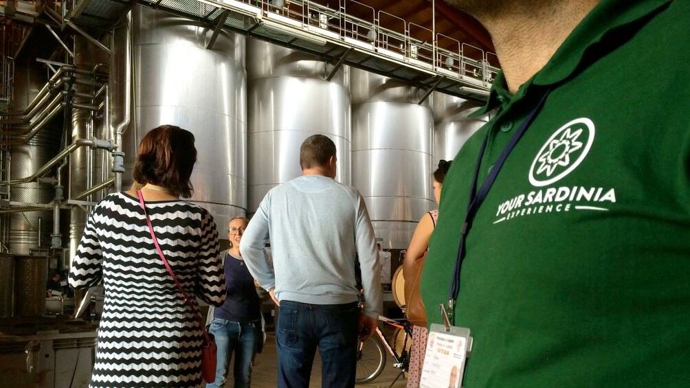 Show item 2 of 9. Wine tour in Cagliari