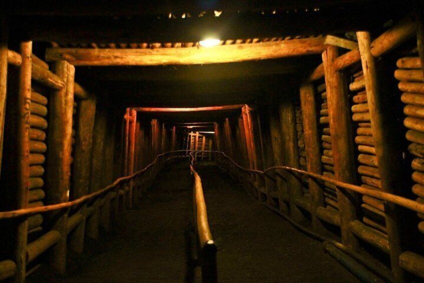Private tour to the Salt Mine of Nemocón and Salt Cathedral of Zipaquirá