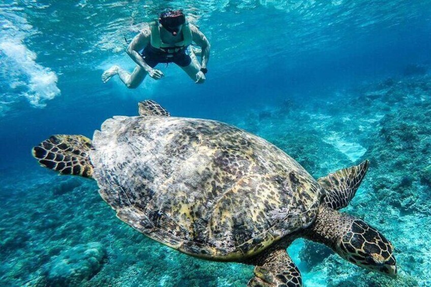 Shared Public Snorkeling Trip >> Meeting Point in GILI TRAWANGAN