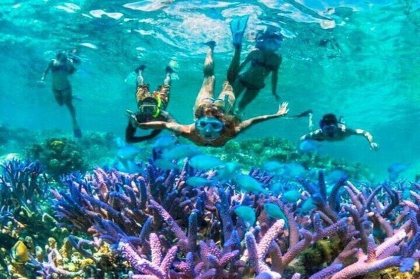 Shared Public Snorkeling Trip >> Meeting Point in GILI TRAWANGAN