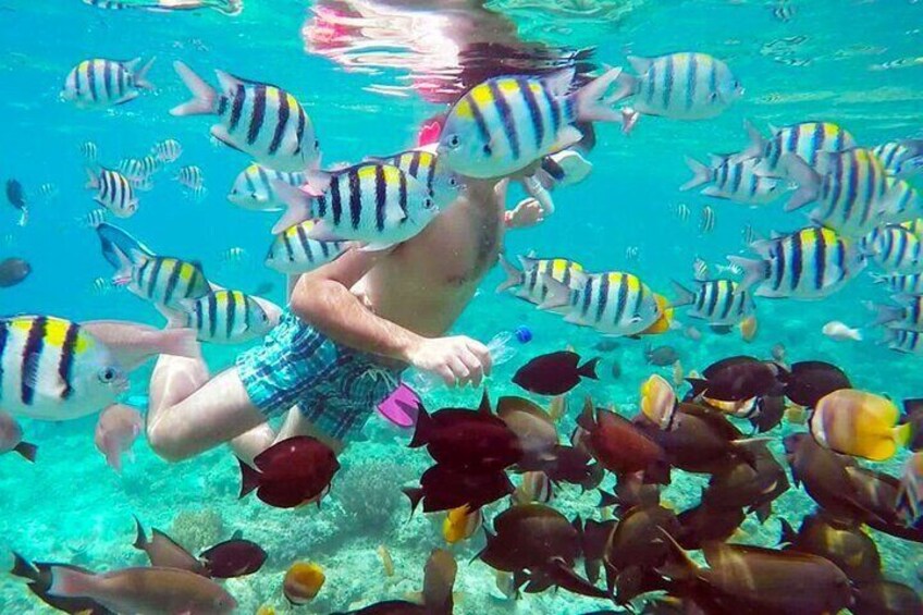 Shared Public Snorkeling Trip >> Meeting Point in GILI TRAWANGAN