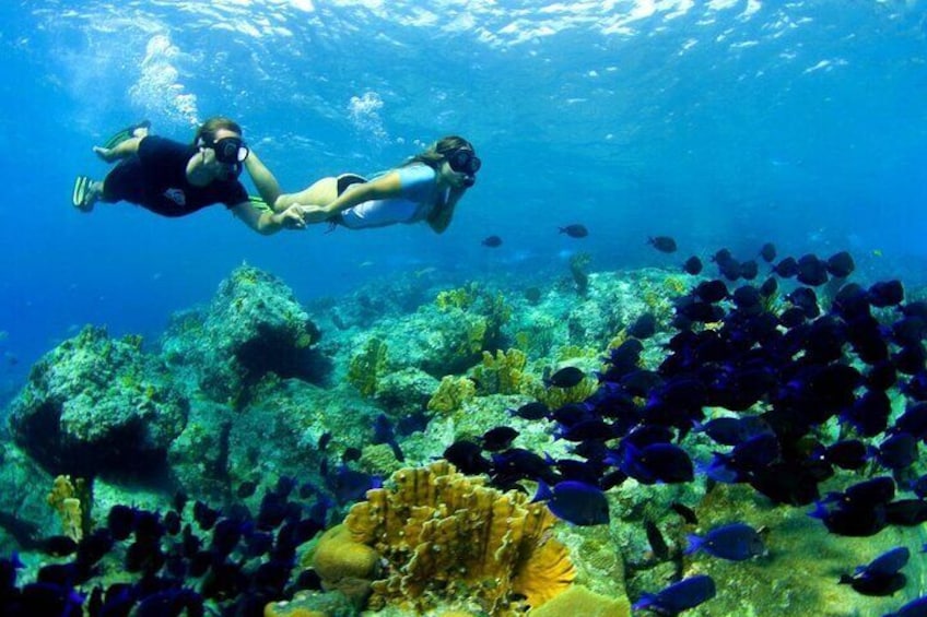 Shared Public Snorkeling Trip >> Meeting Point in GILI TRAWANGAN