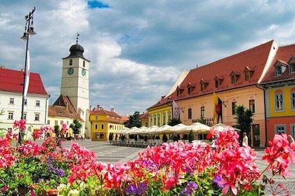 Sibiu & wijnproeverij (1 dag, vanuit Cluj)