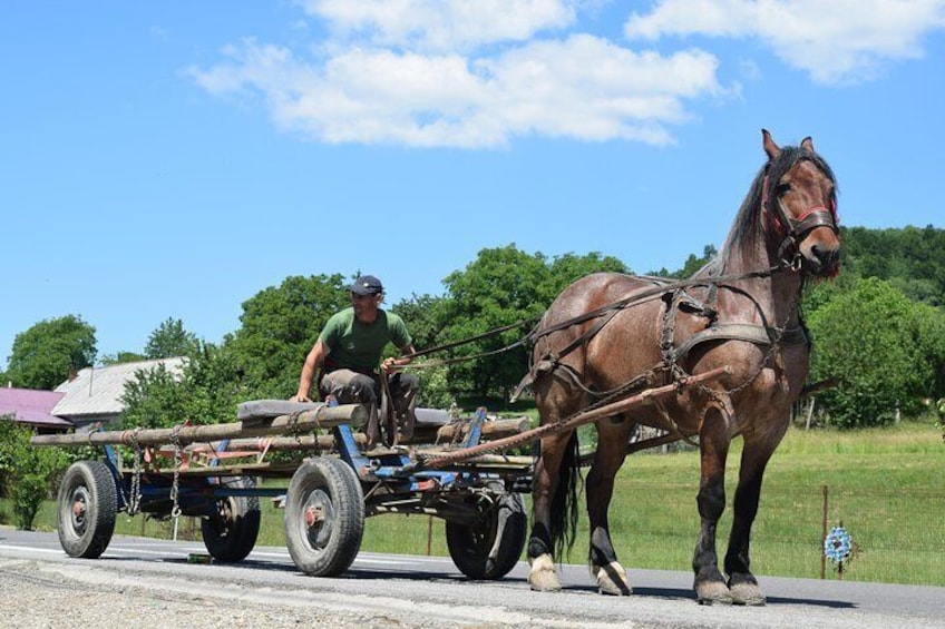 horse&cart