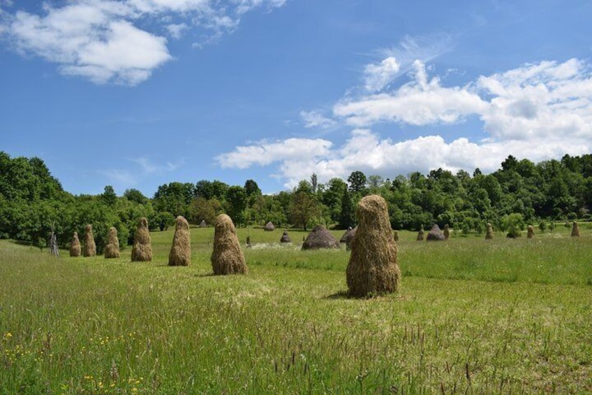 haystacks