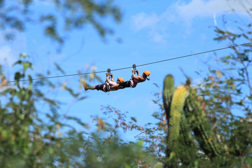 Show item 4 of 10. Monster Ziplines & Water-slides