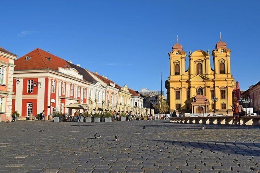 Timisoara