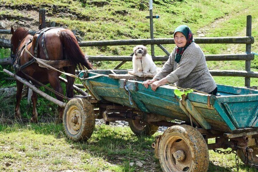 Best of Bucovina (2 days, from Cluj)