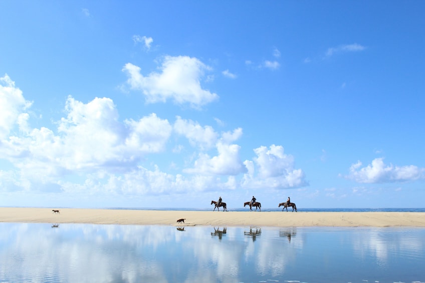 Pacific Beach Horseback Riding