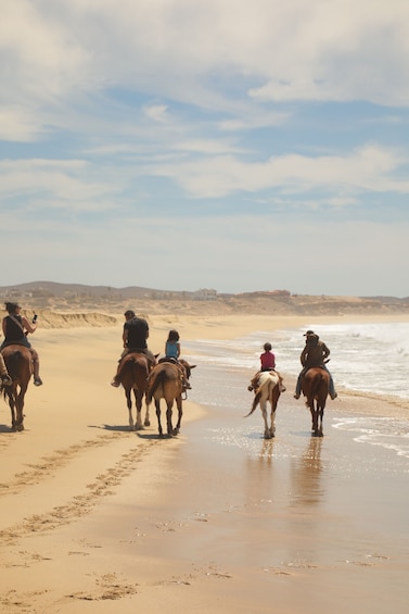 Pacific Horseback Riding Tour in Cabo San Lucas