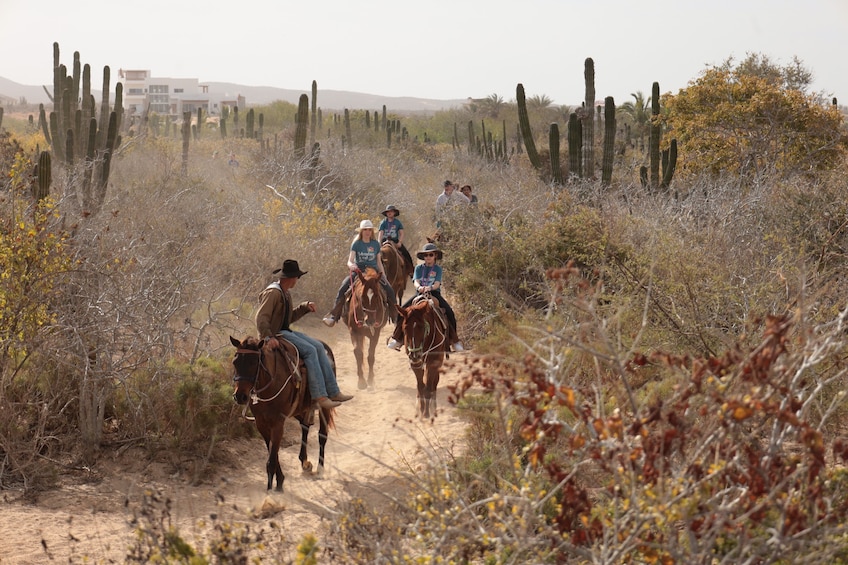 Pacific Horseback Riding Tour in Cabo San Lucas