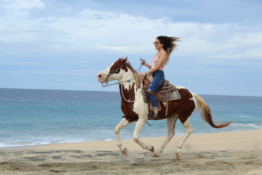 Pacific Beach Horseback Riding