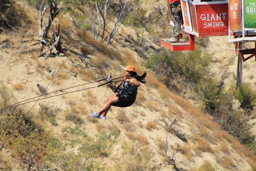 Show item 5 of 10. Sling Swinger