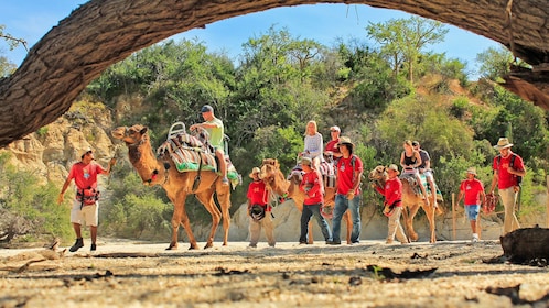 Aventura en camello, botanas, bebidas y toboganes acuáticos