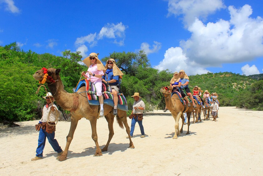 Camel Adventure, Snacks & Drinks and Water-slides
