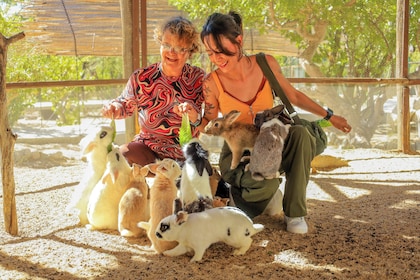 Animal Sanctuary Experience at Wild Canyon & Aqua Park