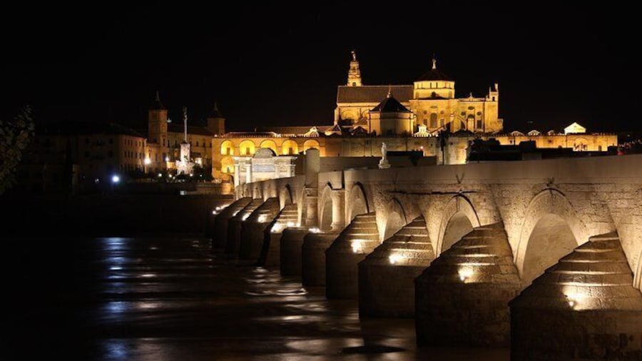 Trip from Malaga to Cordoba visiting the Mosque.