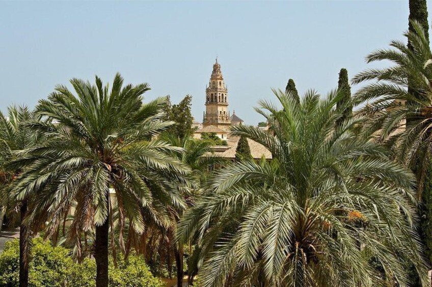 Trip from Seville to Cordoba and get to know the Mosque