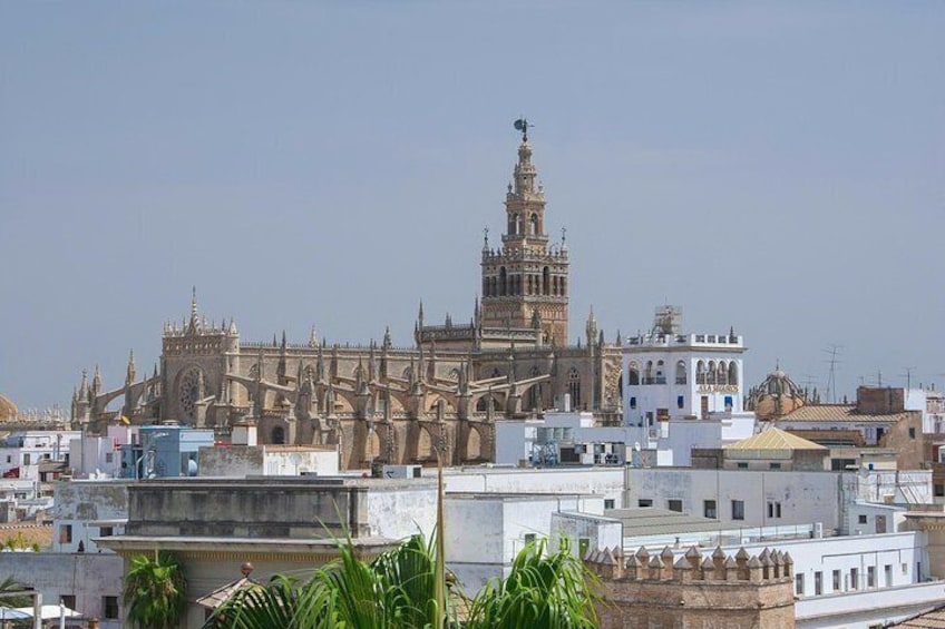 Travel from Cadiz to Seville and visit its Monuments.