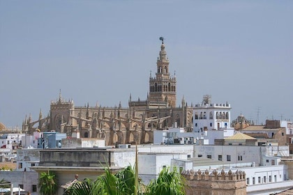 Travel from Cadiz to Seville and visit its Monuments.
